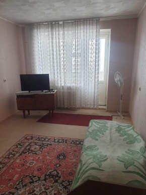 Apartment on Entuziastov